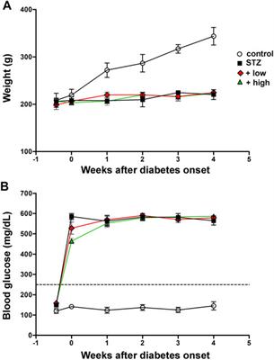 Preventive Efficacy of an Antioxidant Compound on Blood Retinal Barrier Breakdown and Visual Dysfunction in Streptozotocin-Induced Diabetic Rats